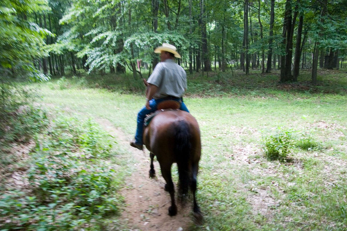 MRanch2013's tweet photo. Looking for a spring break getaway? We have some rooms this week. Great weather for some horseback riding and hiking in near by Shenandoah National Park! #springbreak #northernvirginia #horsebackriding #shenandoahnationalpark #lodging #uniquetravel #MarriottTRAVELER https://t.co/XDYz5sUETo