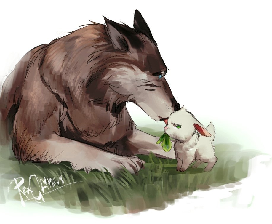 Волк и крольчиха