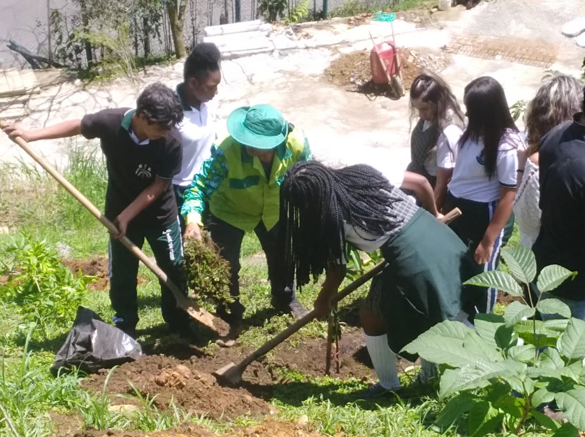 alejamarind's tweet photo. En el #DiaSinCarro en la
@UniversidadCES
se realiza una siembra de árboles en alianza con
@conTREEbute
#sostenibilidad #cessostenible
#ciclosiete https://t.co/v7c4vcnlva
