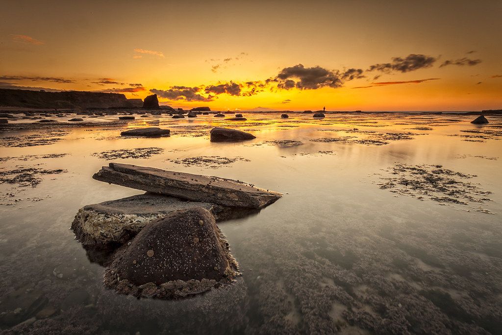 We have a new #job opportunity here at the #northyorkmoors national park. We're looking for a full time Graphic Designer! Apply before 16 May. More details can be found here buff.ly/2viYqzi 

(c) Mark Heslington