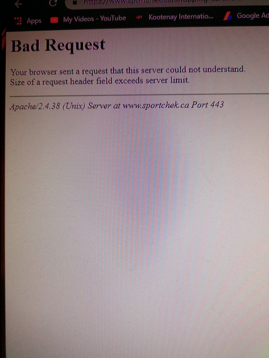 Crystal_Clear69's tweet photo. @SportChek  I've been trying to place an order for 2 days now. Any chance this will get fixed or am I going to miss the sale on the item I am trying to purchase? https://t.co/LM053obbJz
