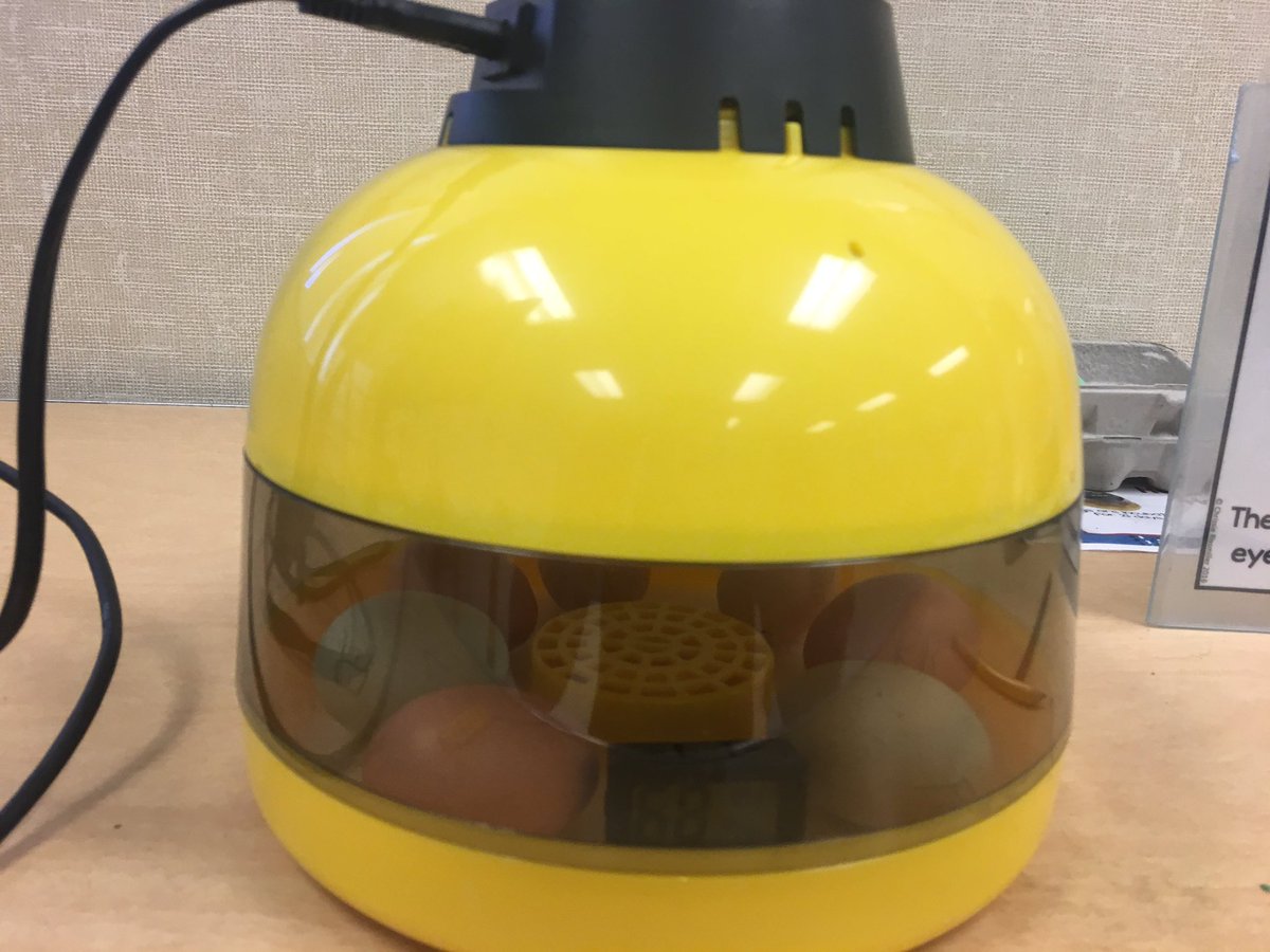 willhalmtweets's tweet photo. Eggs are in!  21 days until Hatch Day!🐣 Live web link will be up and shared once we got closer. https://t.co/siRej00iX2