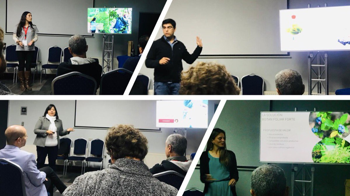 TheGaneshaLab's tweet photo. Gran potencial de emprendimientos para el sector agrícola en #pitchday de #agrofoodsummit de Chile 🇨🇱 al mundo 🌎 🚀 @Corfo @IncubatecUFRO @Poly_Natural @myconativa @botanitec @agricoch 👏🏻👏🏻👏🏻 https://t.co/K3ZQDZYzoH