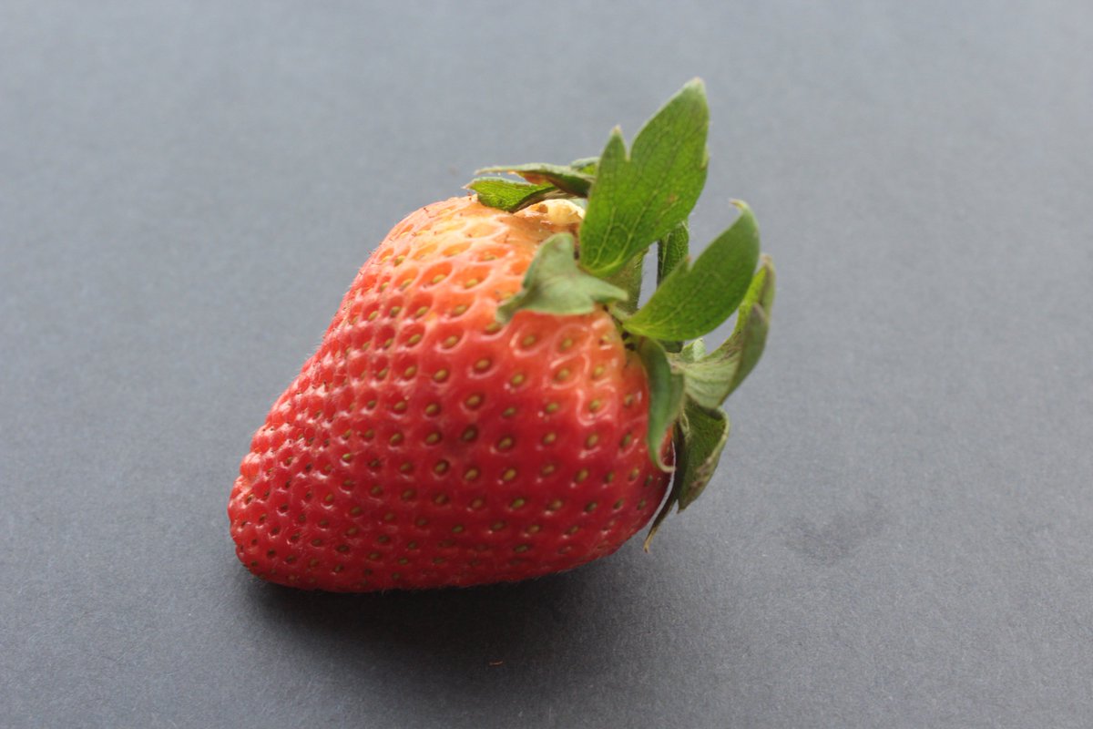 krieschen1395's tweet photo. #CHSFruit https://t.co/xCnAtxDSLV