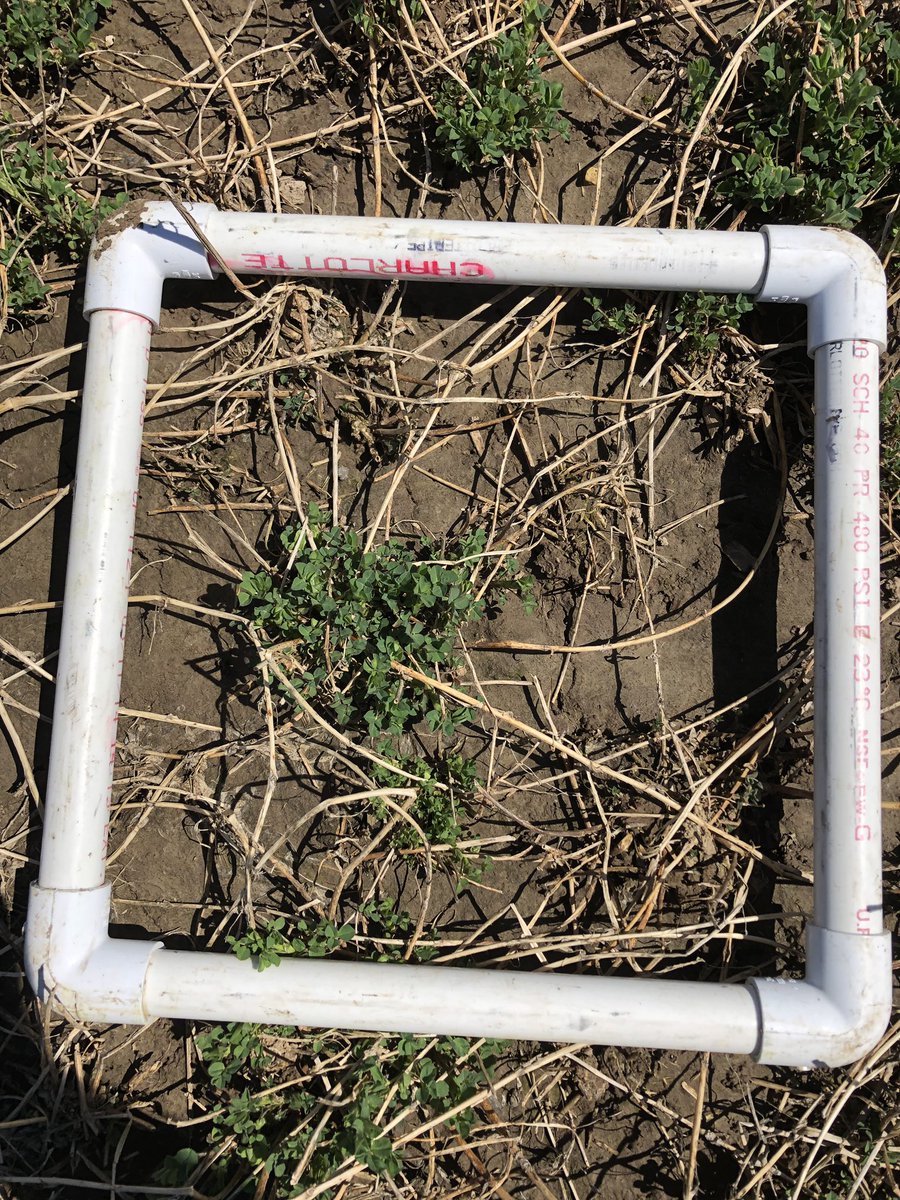 Ryan Bates tweet media