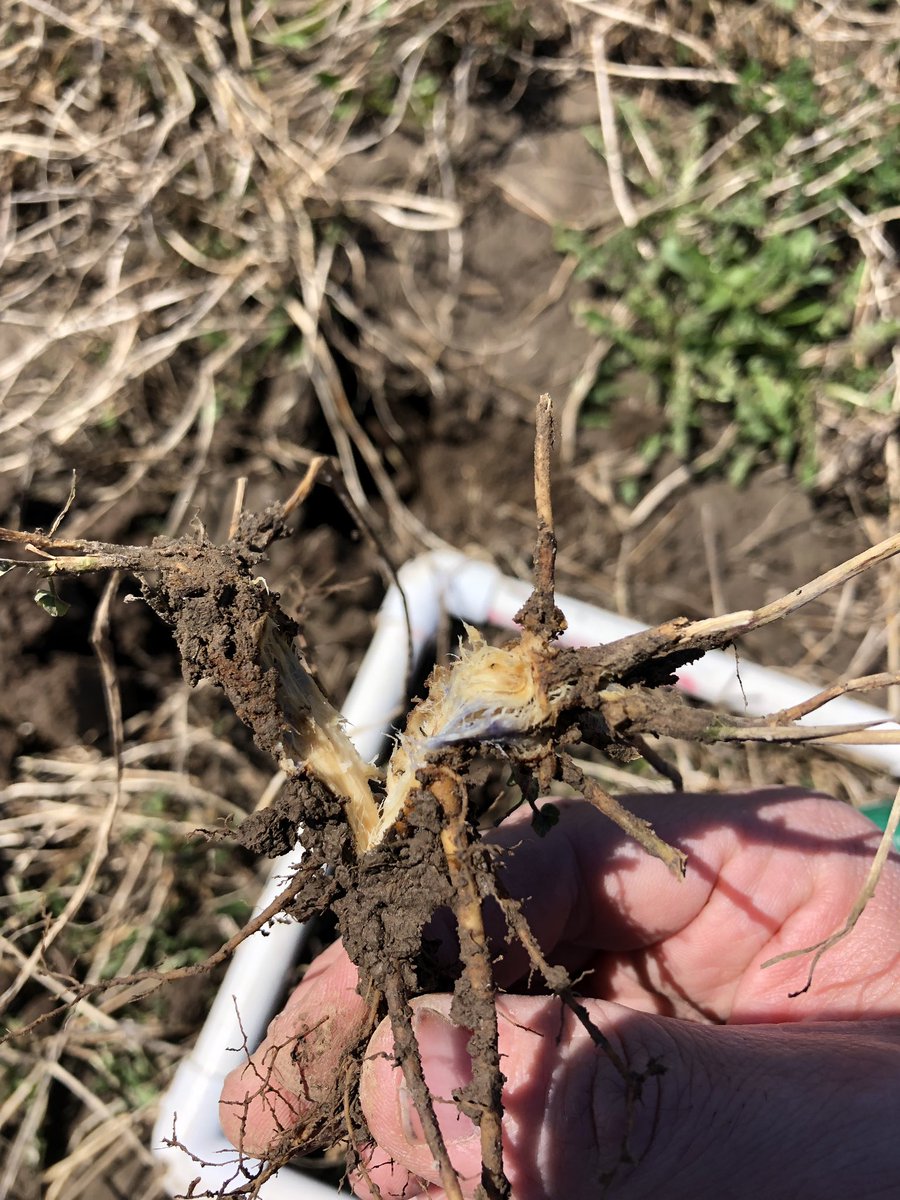 Ryan Bates tweet media