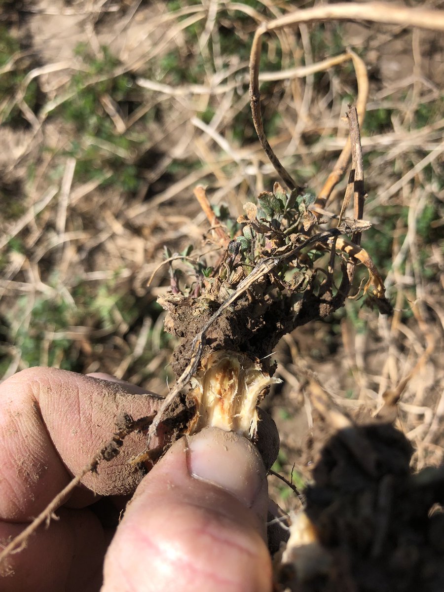 Ryan Bates tweet media