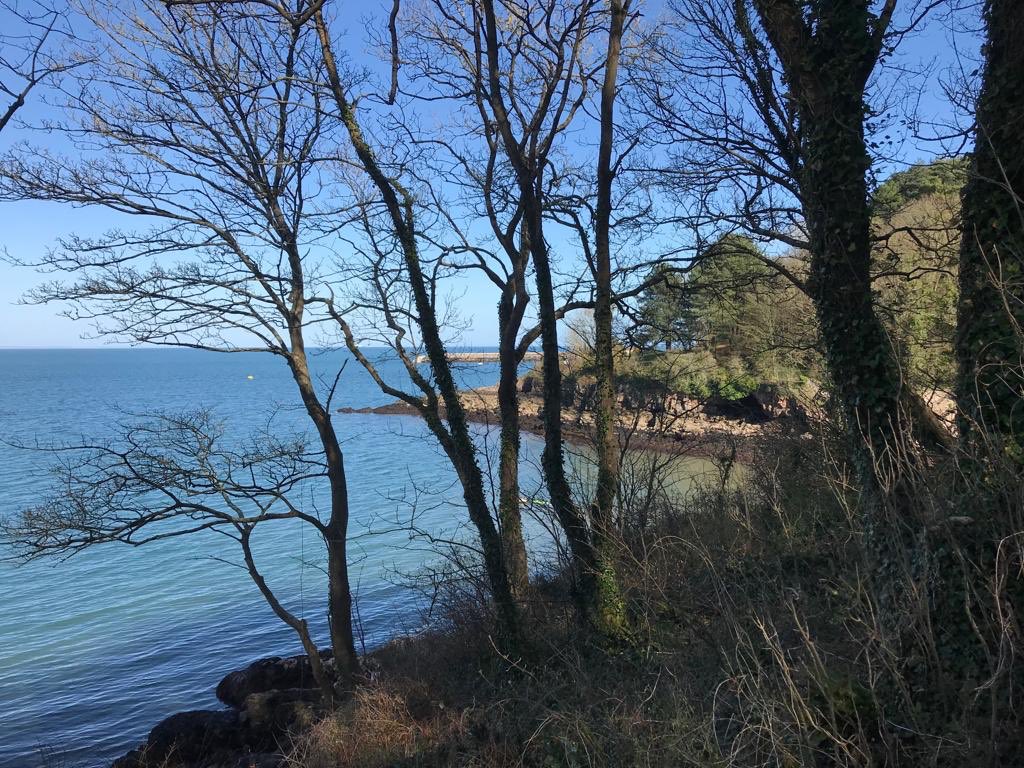 Look what I found today . . . a list of #dogfriendlybeaches in Torbay. I’ll definitely be sharing this with our guests - such lucky dogs to have so many beautiful beaches to enjoy 😊 #boosttorbay @Vixbrix @BrixFest @dotty4paws @TheGoodDogGuide @VisitDevon