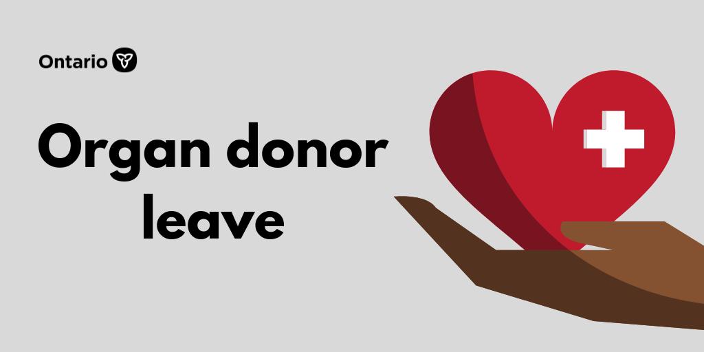 ONTatwork's tweet photo. Considering being a living organ donor? Ontario offers up to 13 weeks of job-protected leave so donors can rest and recover with peace of mind: https://t.co/CWvi0G1pqY #workfairON #beadonor https://t.co/tklRvkKWyZ