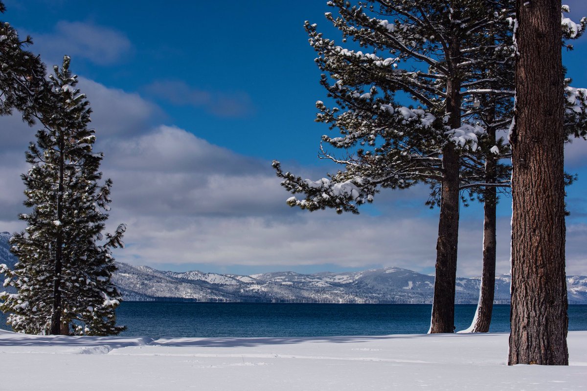 AdamShoop's tweet image. Happy 🌎 Earth Day! #southlaketahoe #keeptahoeblue