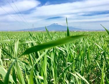 Pro_Logistica's tweet image. RT new_EconoMIA &quot;Nuova linea di credito legata agli indici di #sostenibilità per 1,5 miliardi di euro. L’operazione a pochi giorni dall’emissione del green bond per 500 milioni. bit.ly/Terna_RCF #finanzagreen #EnergyTransition https://t.co/maElUrH0ok&quot;