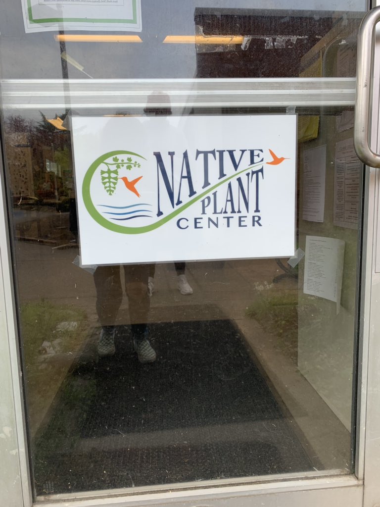 marylou_ihasz's tweet photo. Many students may not know Clark College has a Native Plant Center right on campus! This nursery is located in the SCI building and is always looking for volunteers to help grow Washington’s native plant species. #ClarkJourn101 https://t.co/6wE35vJ4Ft