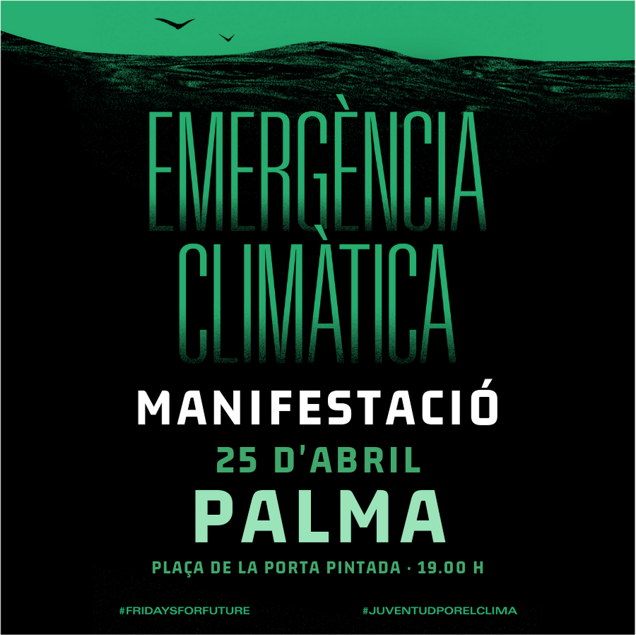 lendema's tweet photo. Això ja és dijous. I no, no tenim més temps a perdre #ExtinctionRebellion #Fridays4Future #CanviClimàtic https://t.co/9pGzCCEIgV