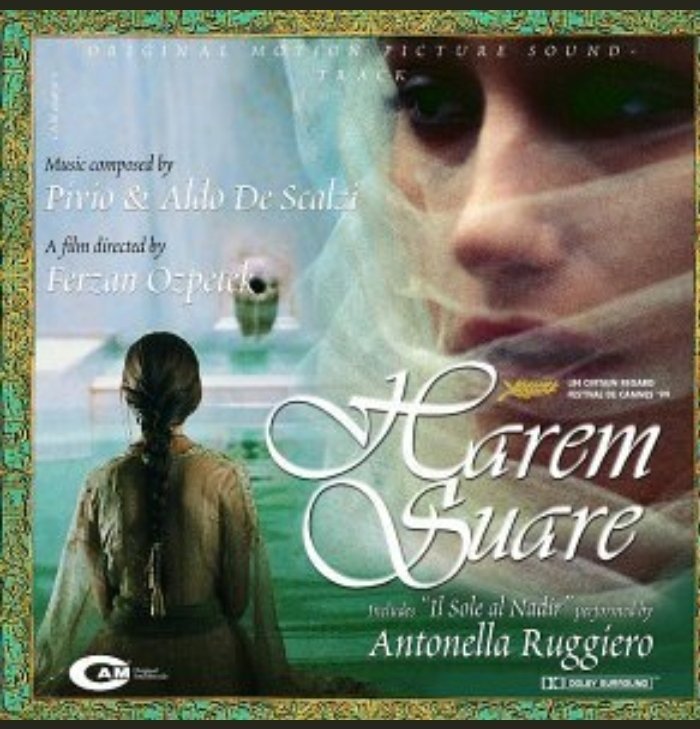 theorlando1892's tweet photo. #ilsolealnadir #antonellaruggiero #haremsuare https://t.co/AQJHk41A3O
