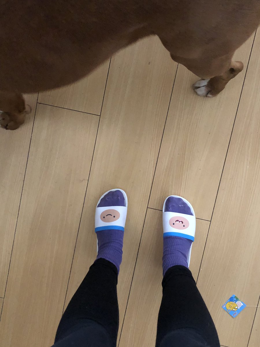 Dani_Lev's tweet photo. Hehehe I’m so happy #adventuretime #finnshoes https://t.co/qU0bZdjLqd