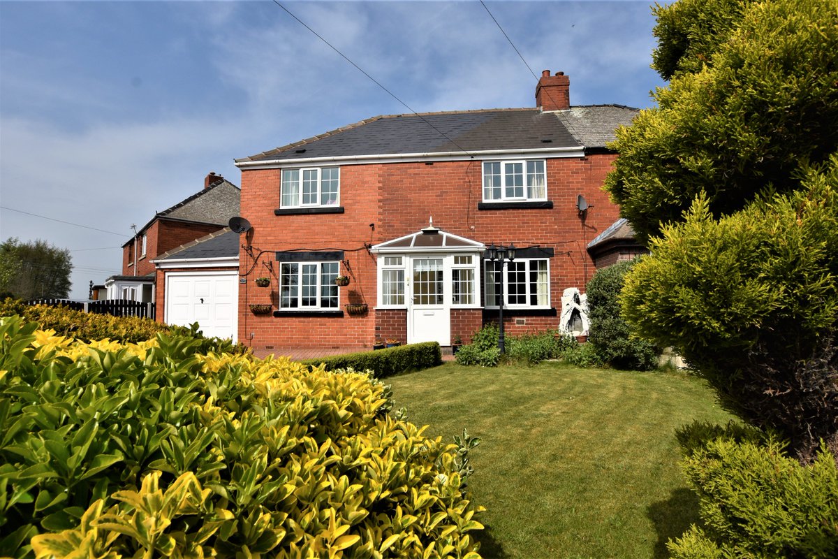 Pinto Property tweet media