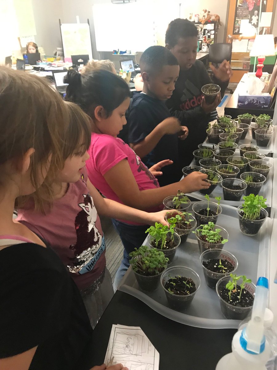 LJohnsonTeacher's tweet photo. Collecting plant data = favorite time of day. 👍🏻 🌱#weR2ndgrade #3tepride #isdstrong @3TrailsTigers https://t.co/A5Ekb4z1u9