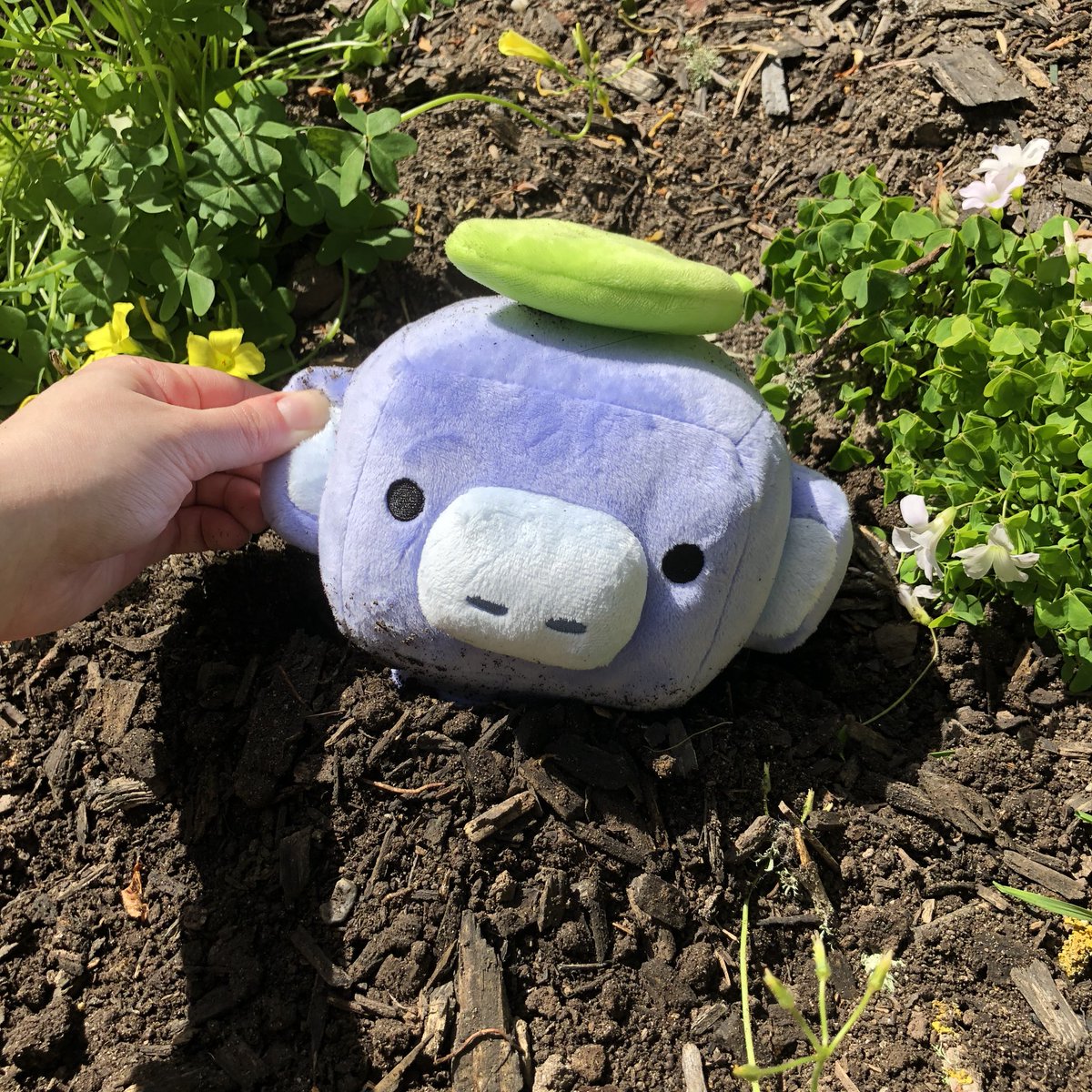 discord's tweet image. the crops are bountiful this season