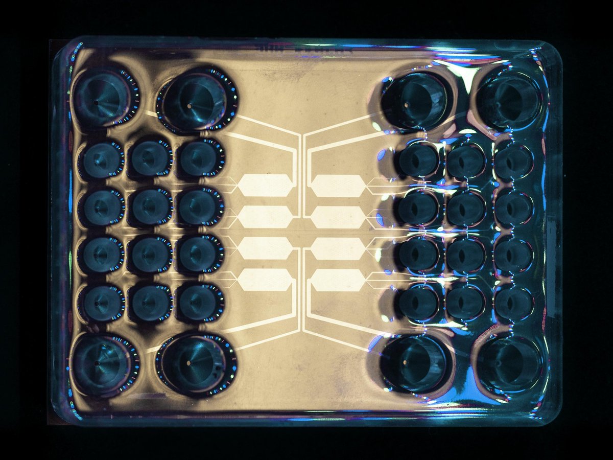 inanovate's tweet photo. Our 8 channel breast cancer assay cartridge design with 24 inlets and 8 outlet wells https://t.co/tHPHbMWAWD