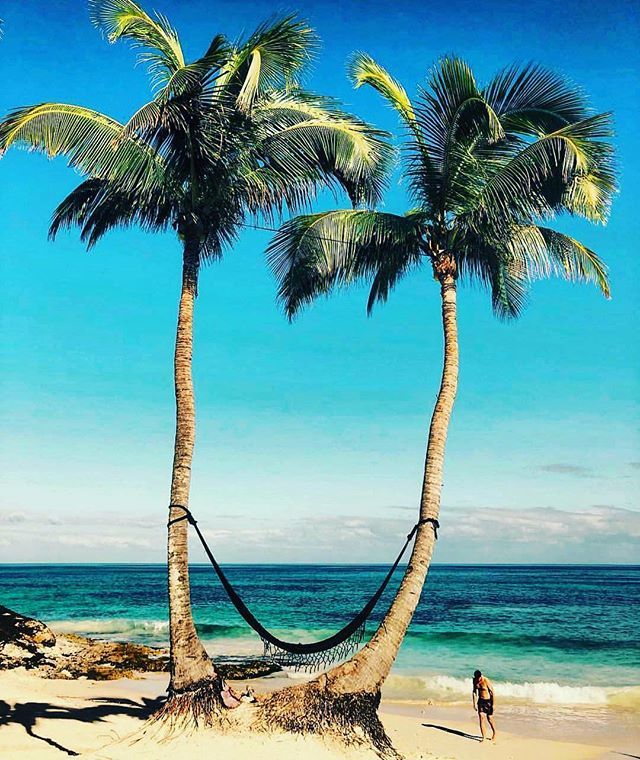 YogaAdventures's tweet photo. 💚 🔵 TULUM 🔵 💚
🌟 we are coming for you 🌟
_________________________________
June 25-30 Yoga Food &amp; Wine retreat with @linasmexicankitchen and @leahzaccaria &amp;
July 9-14 Yoga &amp; Spa Retreat w/ @bohemianlovertulum
__________________________________
Joi… https://t.co/PCnFbFxGc1 https://t.co/glX7WbHPuB