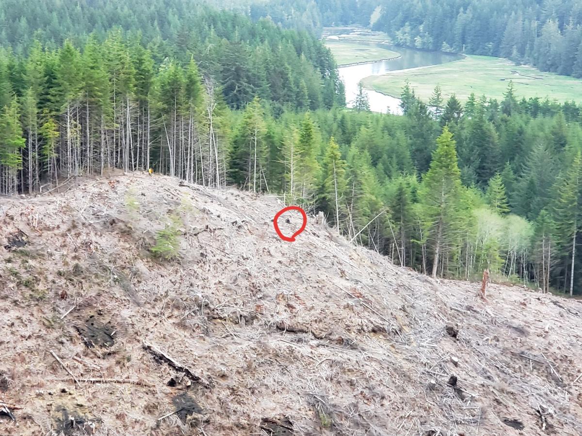 SHBTRN13's tweet photo. Deputies find hikers.
https://t.co/HLIS4d2kun https://t.co/qfXRKdfkNV