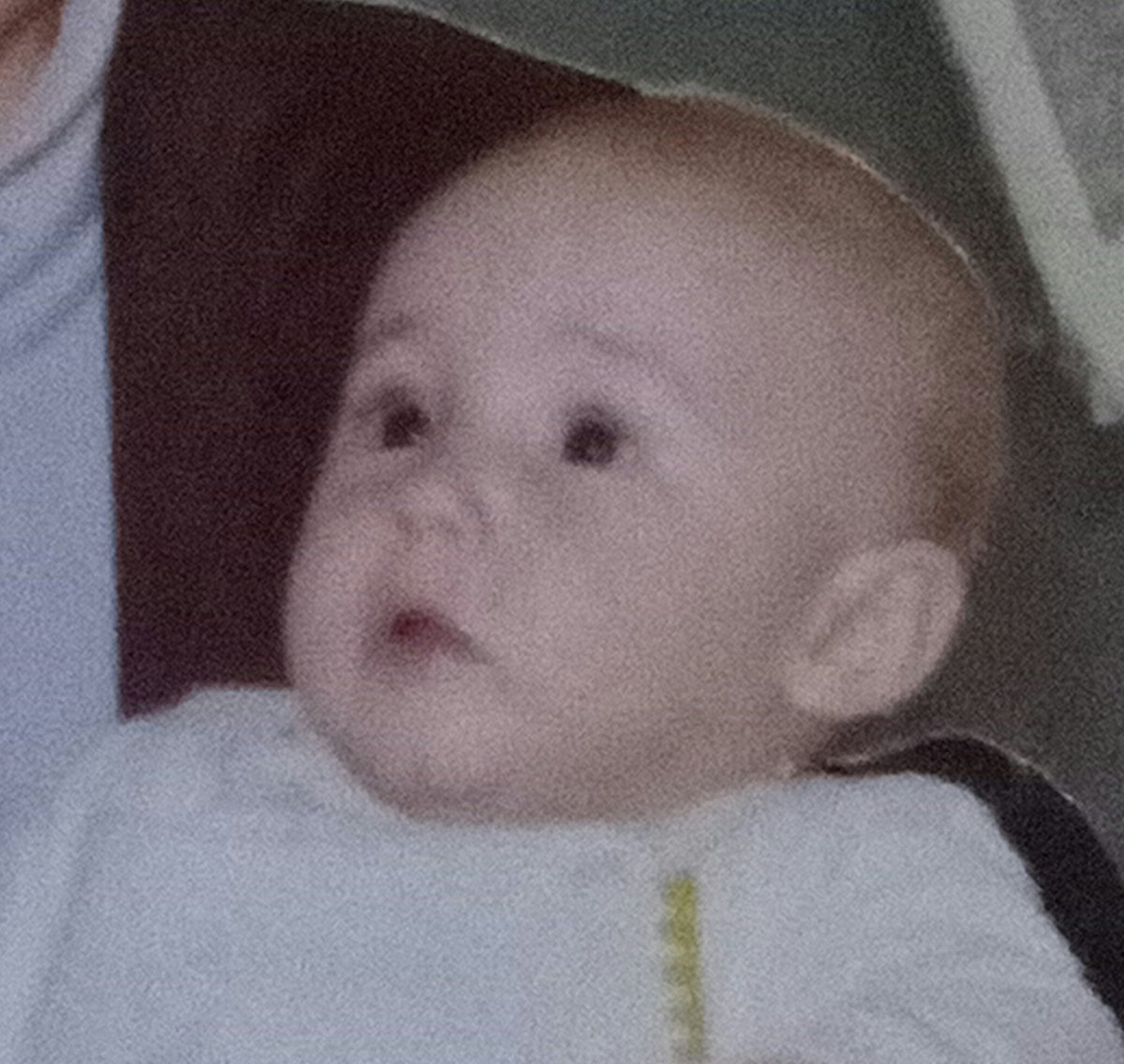 solodax - (seguace di marione) tweet media