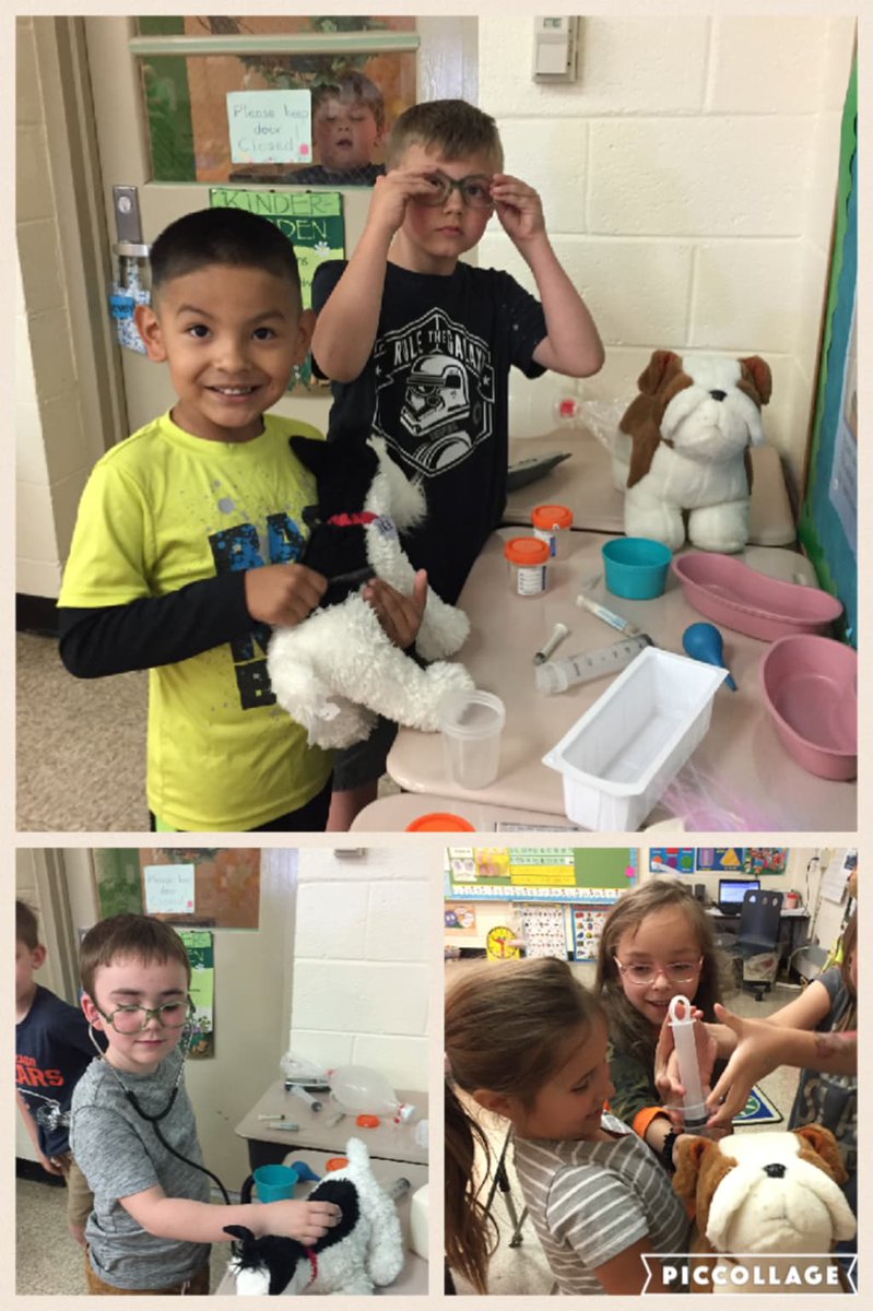Future veterinarians working in kindergarten.  Schedule an appointment today. #tvti piccollage.com/_POdYKeAU