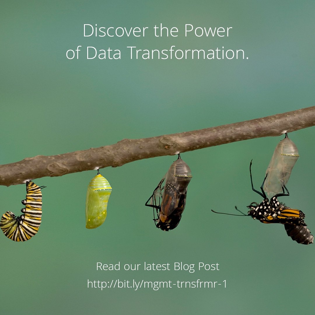 Alumio.com tweet media