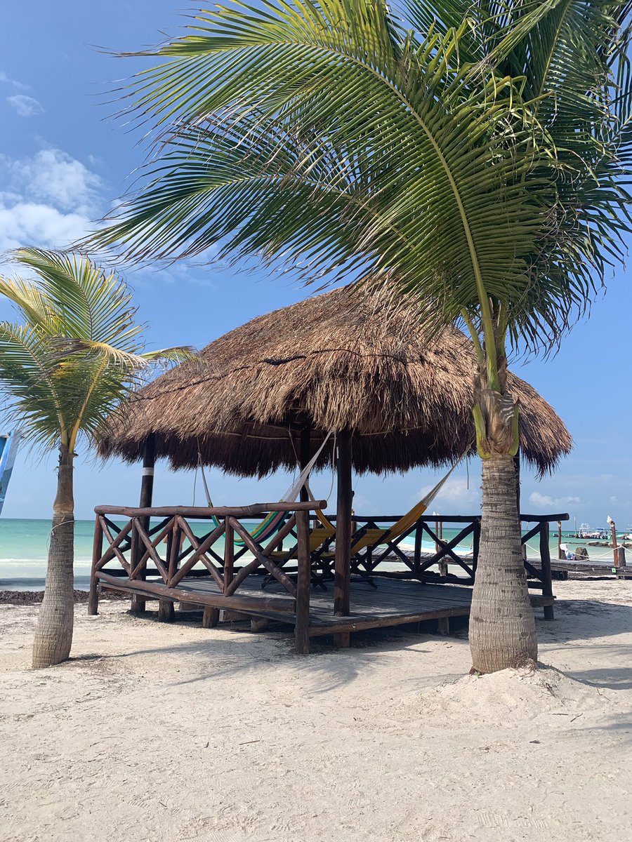 santauce's tweet photo. 🇲🇽 mexico guey 🇲🇽 https://t.co/V3BYZxclgf