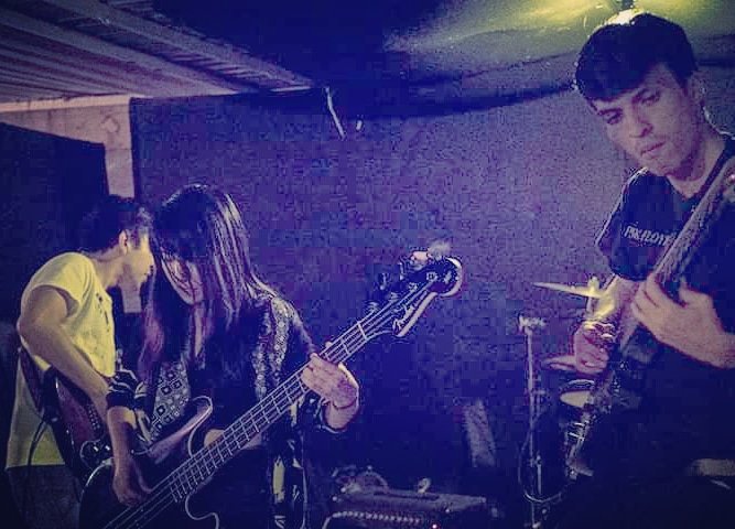 Petricore MX tweet media