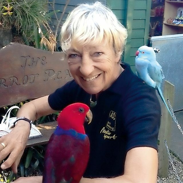 TspBerlin's tweet photo. Wie wird man als Berliner Autohändlerin populär? Ein Nachruf auf #HeidiHetzer 🖤R.I.P. https://t.co/xIPZOC90uz https://t.co/R315Qn2OWc