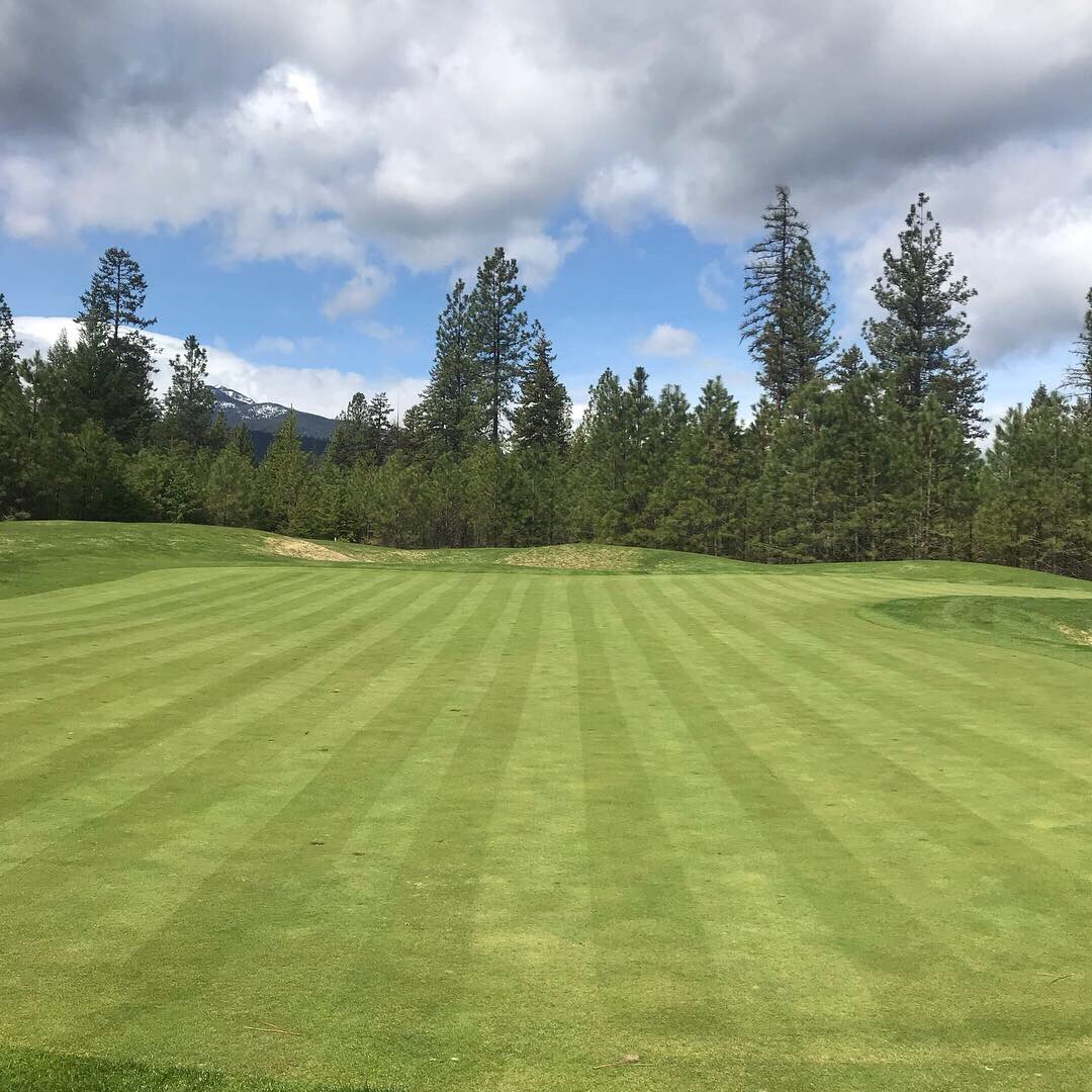 CVGCSUPER's tweet photo. First mow on the back 9 went great! #golf #golfmt #turf #turfgrass #turflife #stripes #spring #cabinetviewgolfcourse #explorelibbymt #happysuper https://t.co/f5nRZt5IUc