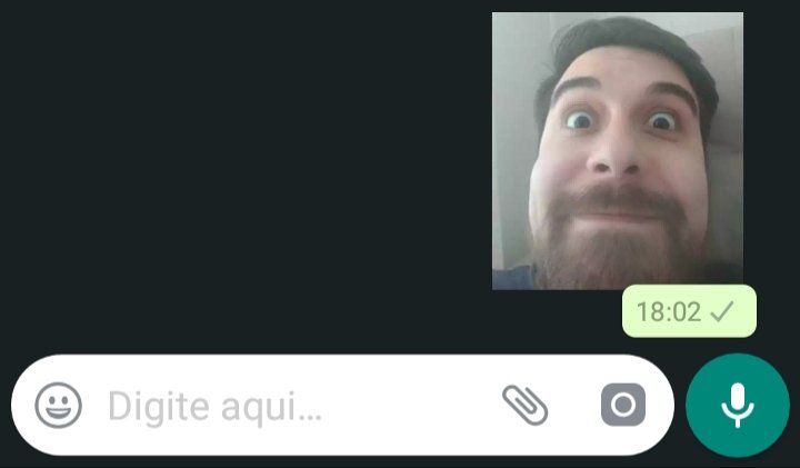 RehMarmotinha's tweet photo. A melhor figurinha do "zap zap" hahahaha 😂

@doismarmotas @diinhaa28 https://t.co/f2J97JUIh0