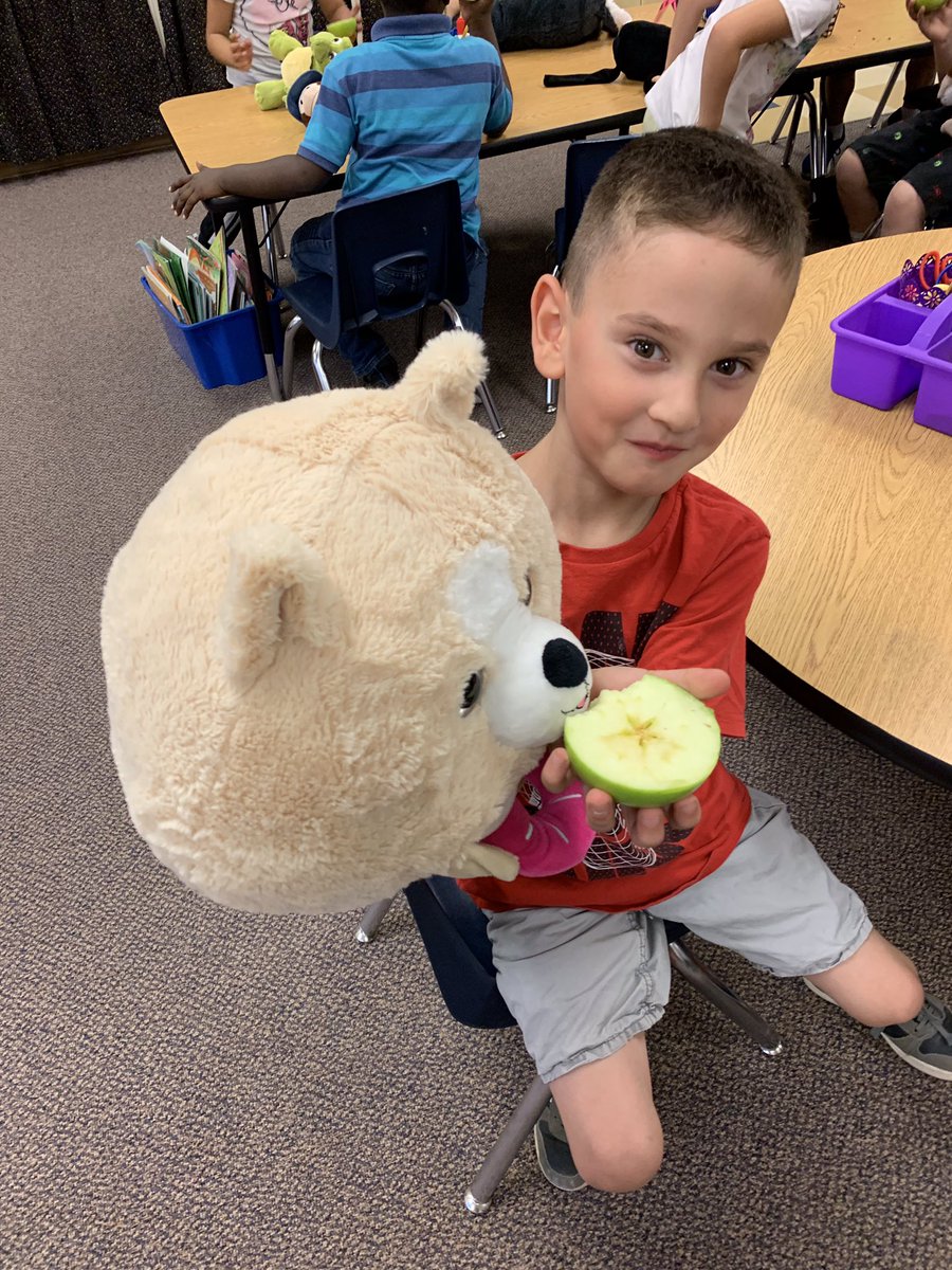 Hancock_Heat's tweet photo. We started our kindergarten ABC countdown today! Today is A day so we brought stuffed animals and ate apples! #Kindergarten #KnowyourABCs @ChandlerUnified https://t.co/E7iOVraBp5