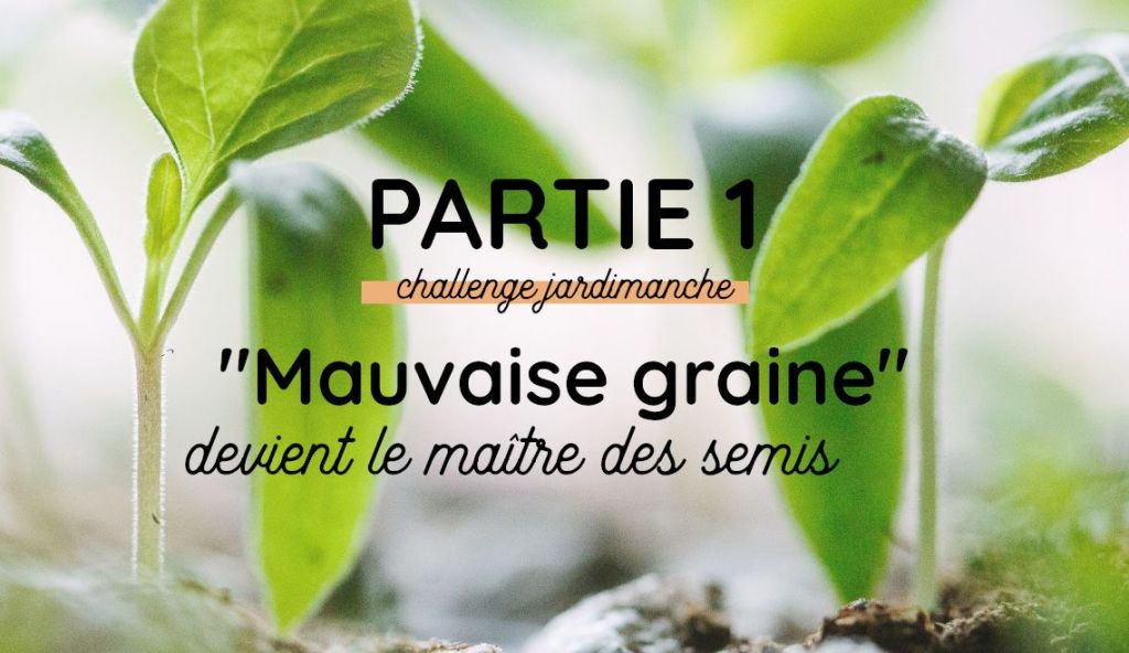 Jardimanche #1 - choisir et semer les graines au potager de balcon monpetitbalcon.fr/blog/2019/04/2…