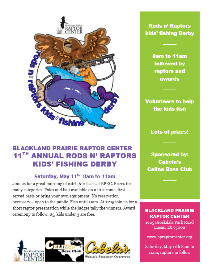 Blackland Prairie Raptor Center tweet media