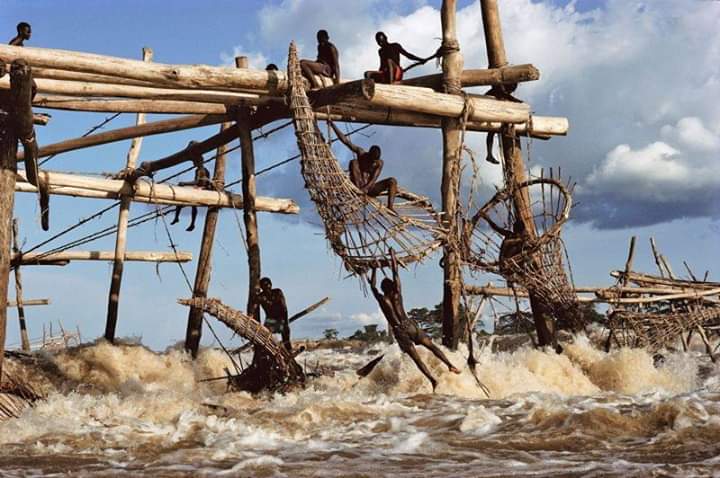Angel Muñiz в Twitter: „Wagenia/ Wagenya Fishermen "The Wagenya (Enya  ethnic group) live in Kisangani, Democratic Republic of Congo...known for  their fishing technique. Fishing and the Congo river are a central part
