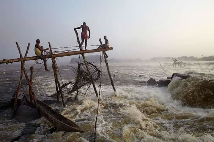 Angel Muñiz Twitterissä: "#Wagenia/ Wagenya Fishermen... "Fishing is part of Wagenya culture, the knowledge of how to build tolimo-s is passed down father to son. The tolimo-s are a collective symbol of