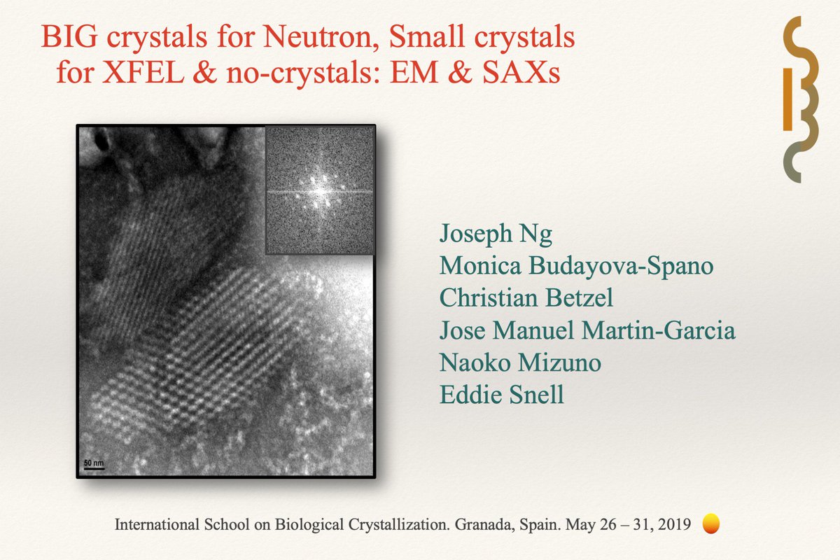 ISBC Granada 2019 #Crystallization Take a look at marvellous group of Speakers. #BigCrystals  isbcgranada.org
