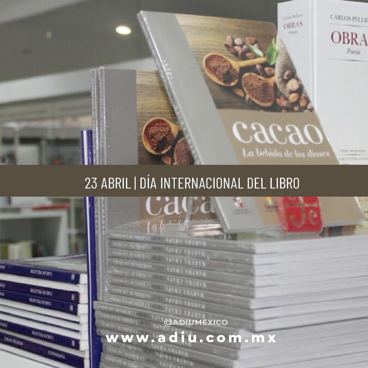 Celebramos el #DíaDelLibro  con #Cacao una obra de #Tabasco #MiLibroFavorito  #DíaInternacionalDelLibro