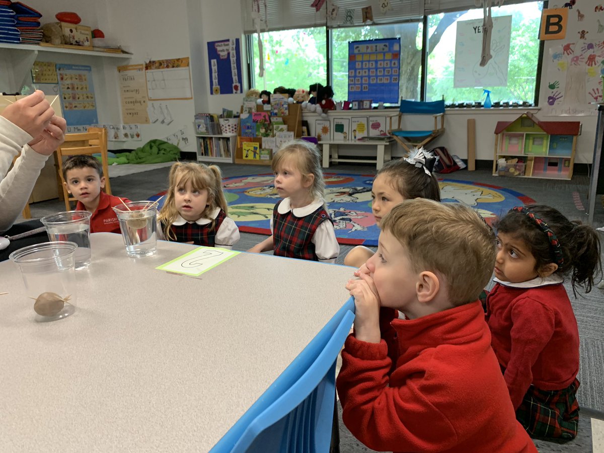 Mrs. Benjamin & Mrs. Proctor tweet media