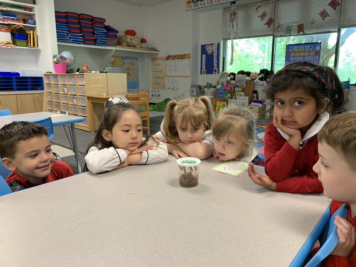 Mrs. Benjamin & Mrs. Proctor tweet media