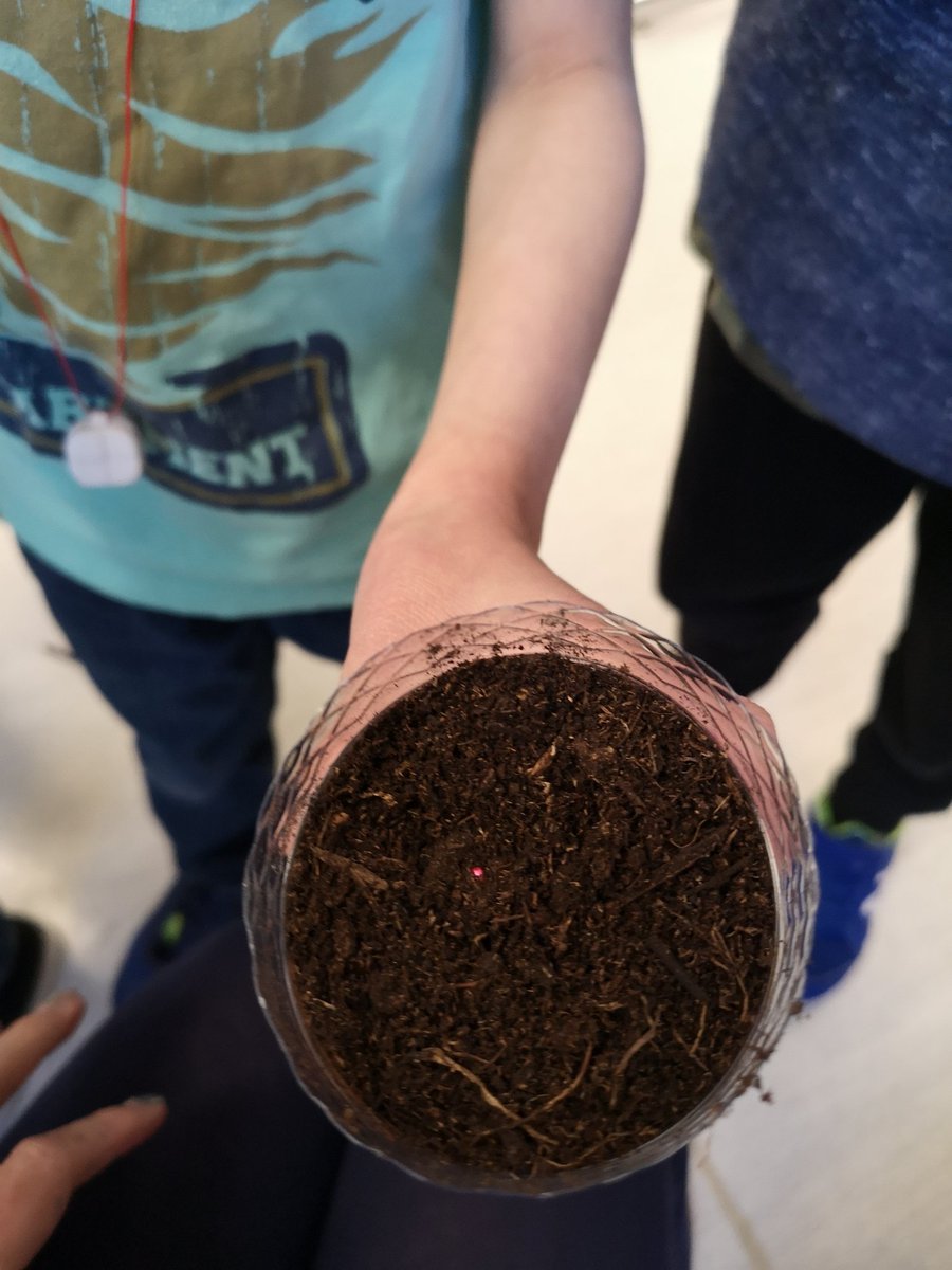BRSKolleeMontgo's tweet photo. Planting seeds to begin our research project! #learningatbrs https://t.co/P7huP7pbq1