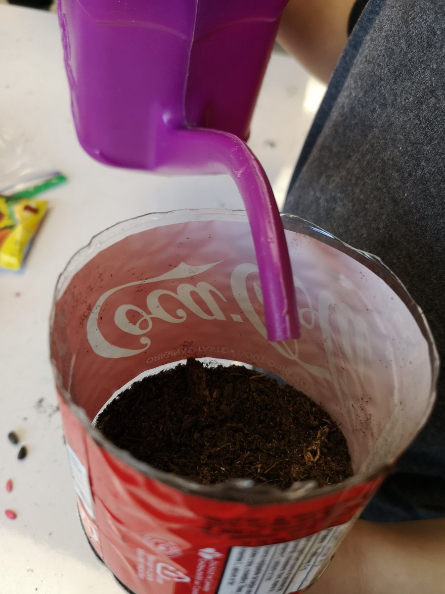 BRSKolleeMontgo's tweet photo. Planting seeds to begin our research project! #learningatbrs https://t.co/P7huP7pbq1