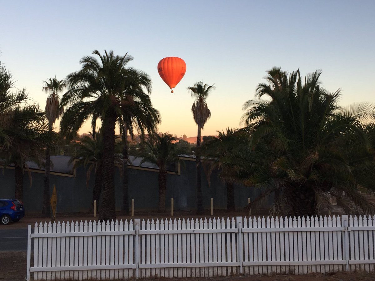 BVBallooning tweet media