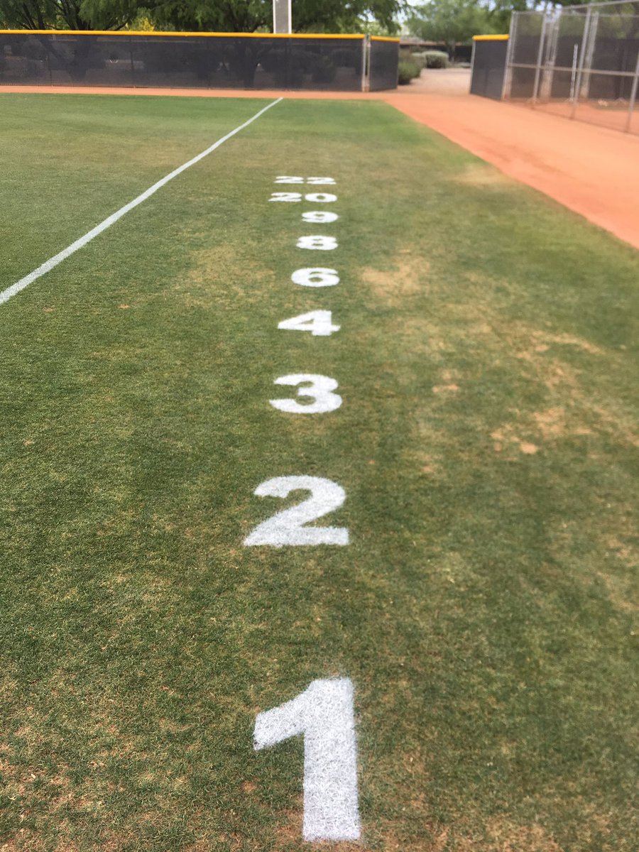 chokesoftball's tweet photo. Come out and join us tonight at 4 and 6 as we take on The Paradise Valley Pumas. Also as we celebrate our sophomores 💚 #SoLongChokes https://t.co/SdX5Wv0Jqp