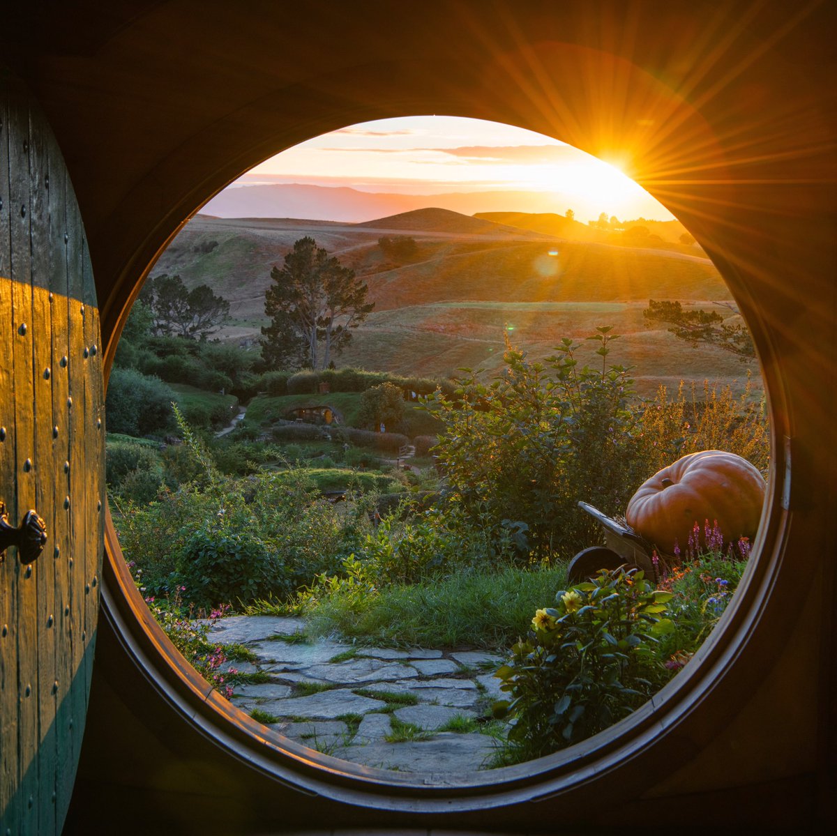 PureNewZealand's tweet photo. Sunrise at The Shire. #NZMustDo 

[📍Hobbiton Movie Set, Matamata. 📷: @shaun_jeffers for @HobbitonTours] https://t.co/DFkBUR55Jj