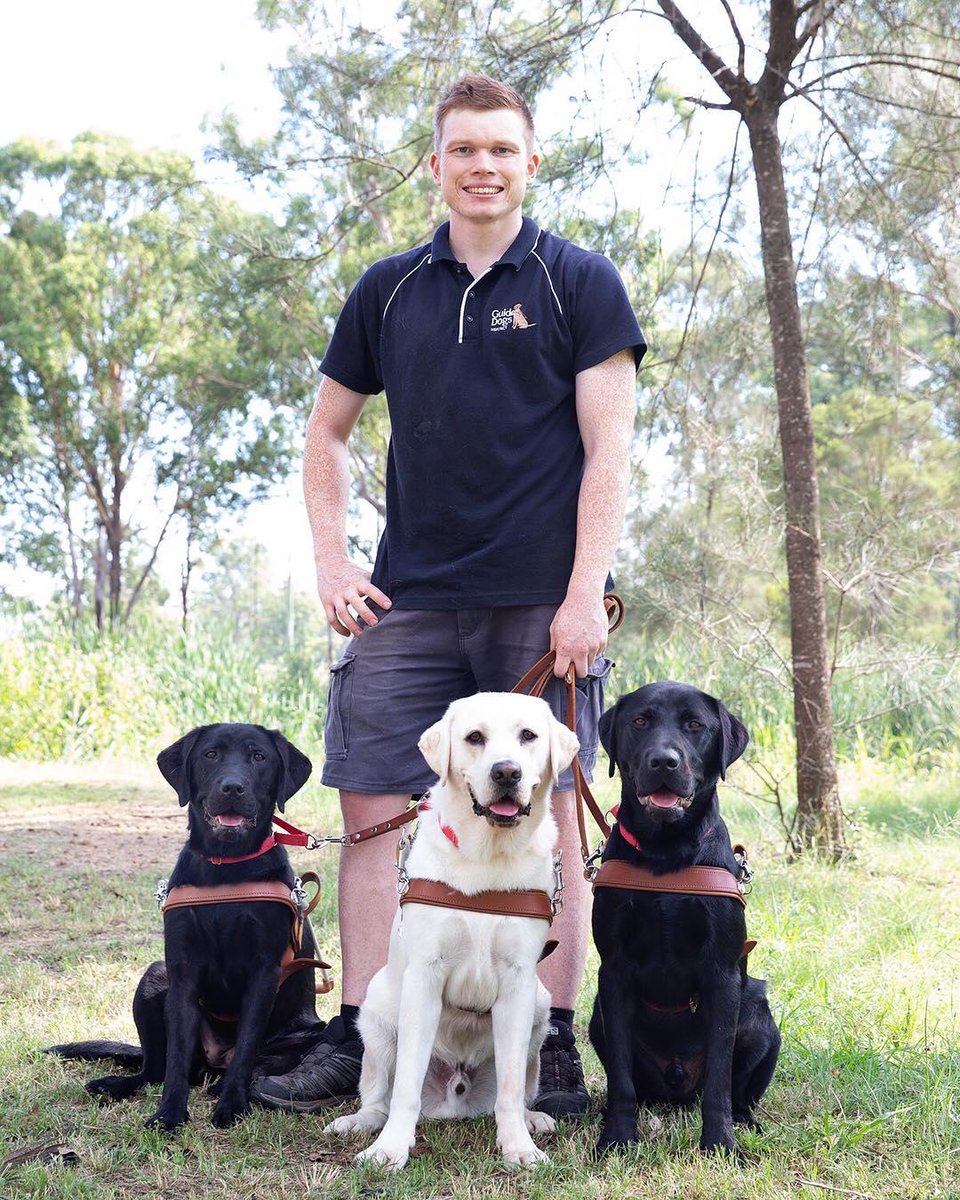 SheadProperty's tweet image. Happy Guide Dog Day 🐶✨
It is incredible how much one of these dogs can impact someone's life. We are proud to be helping doggy heroes bring comfort and joy to those who need it most!

Thank you, Guide Dogs NSW/ACT for all the work you do!
📸 Guide Dogs NSW/ACT