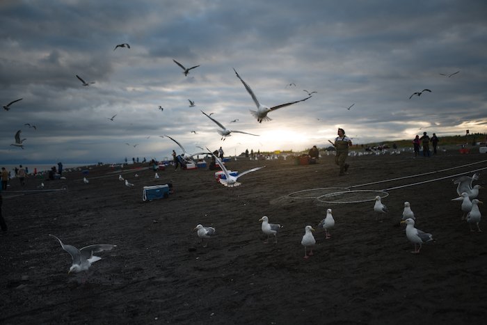Saturday May 4, 1-3pm: Discussion about salmon and a resilient future Alaska at the Anchorage Museum. Part of the North by North Festival. Come join us for provocative ideas. #northbynorth #sustainedbysalmon <a href="/AnchorageMuseum/">Anchorage Museum</a>