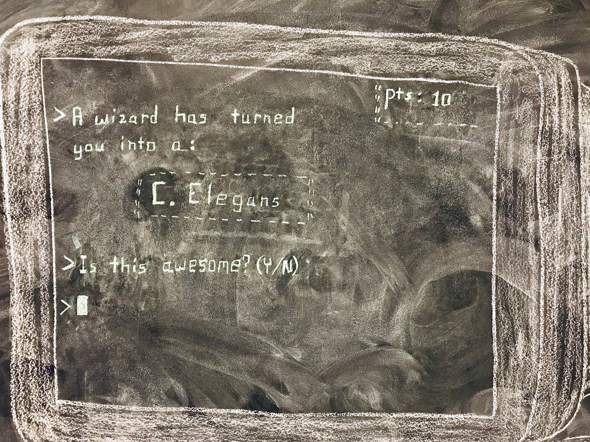 SteTavano's tweet photo. “A wizard has turned you into a” #BlackboardPoll @ISTAustria #LabLife #ISTlife https://t.co/y3YXNy7cjx